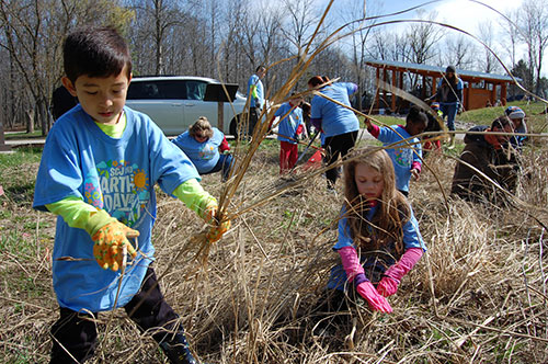SC Johnson volunteers cleaning up River Bend Nature Center