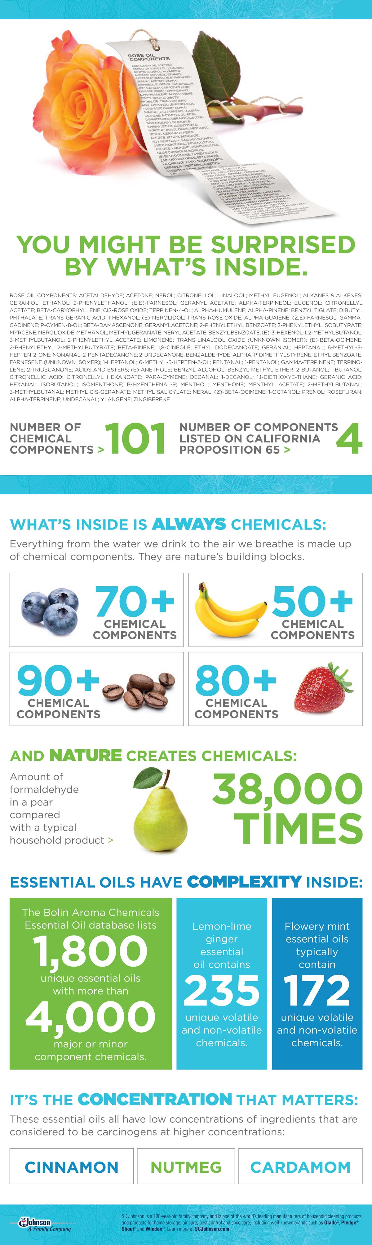 An ingredient transparency infographic from SC Johnson