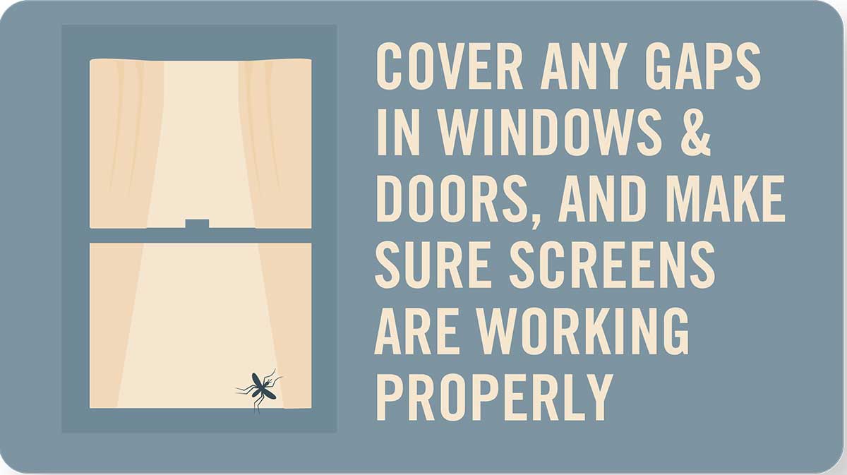 Mosquito tip: Cover gaps in windows and doors, make sure screens work properly
