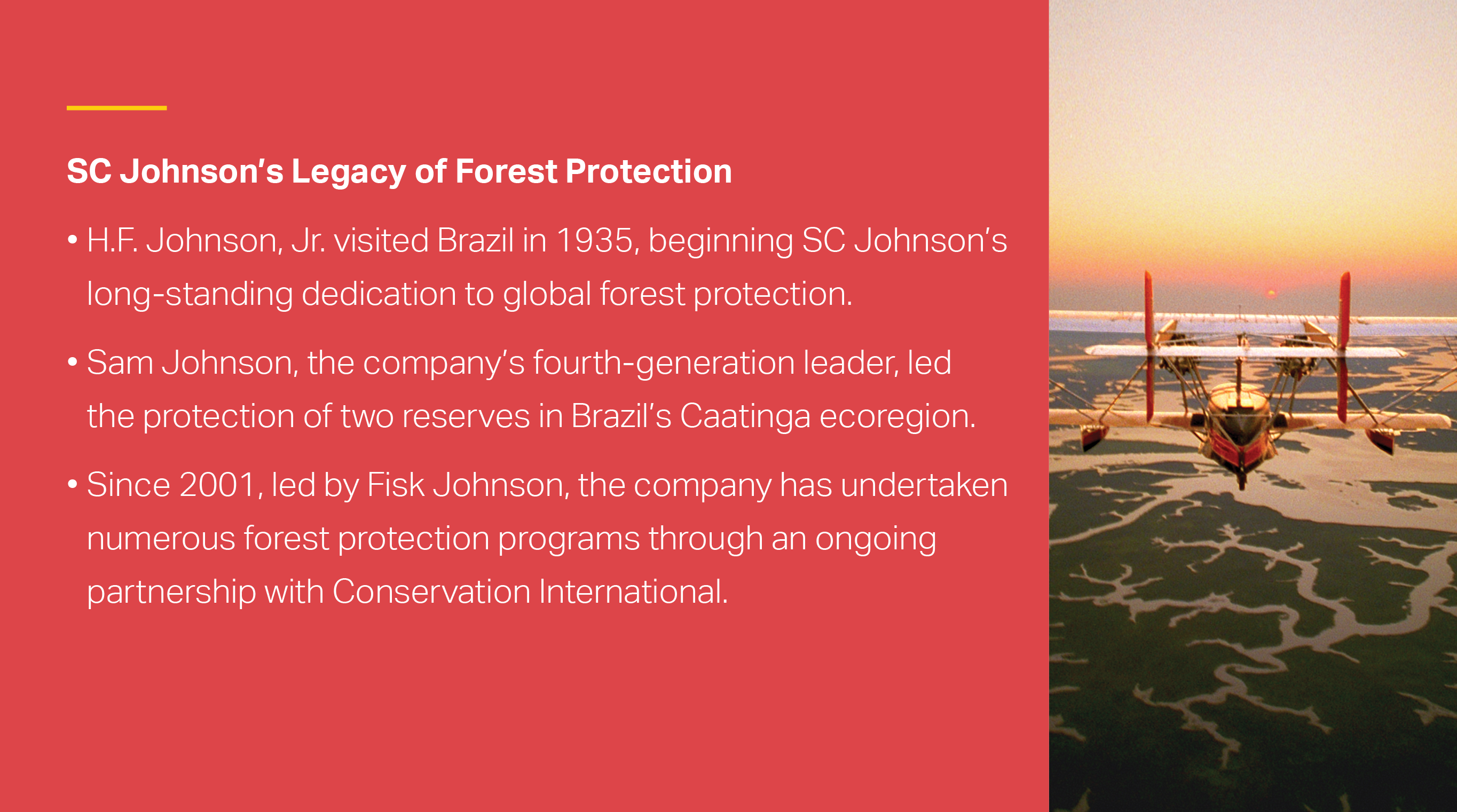 infographic tile: rainforest and river. Text reads: SC Johnson working with Conservation International had conserved more than 100,000 acres of tropical forest.