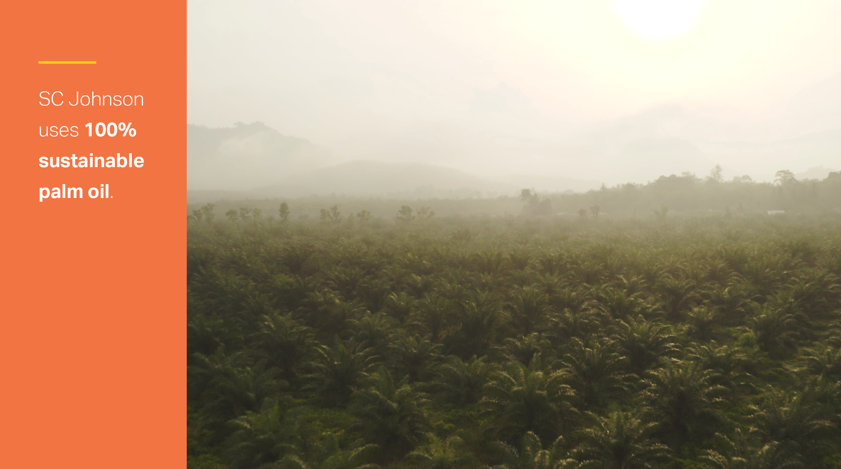 infographic tile: palm oil field. Text reads: SC Johnson uses 100% sustainable palm oil.