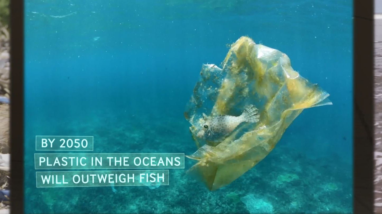 By 2050 there will be more plastic in the ocean than fish.