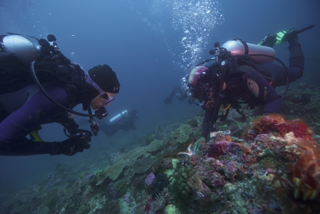 Fisk Johnson Endonezya’da makro düzeyde bakıyor