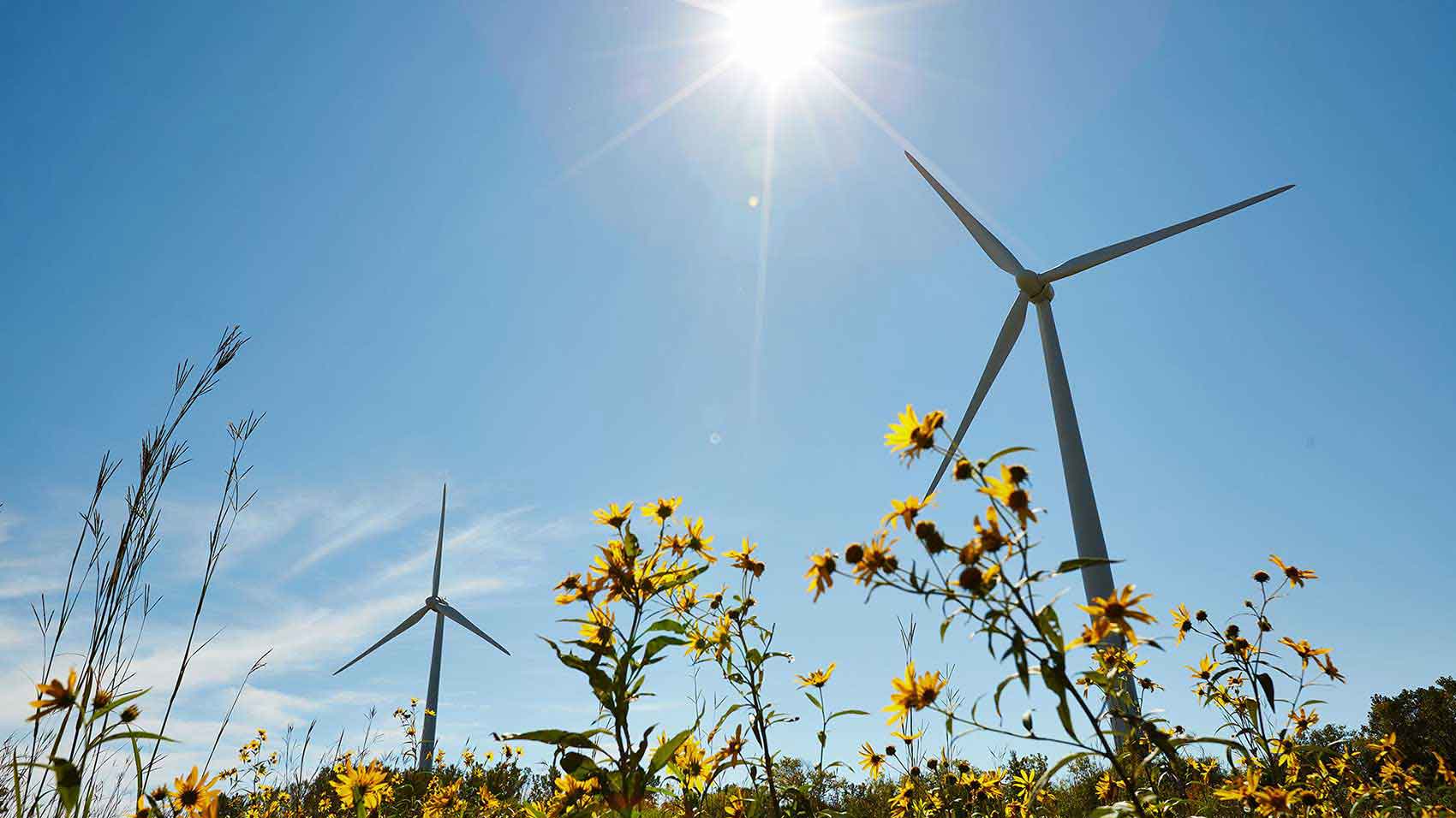 Erneuerbare Windenergie treibt SC Johnson an
