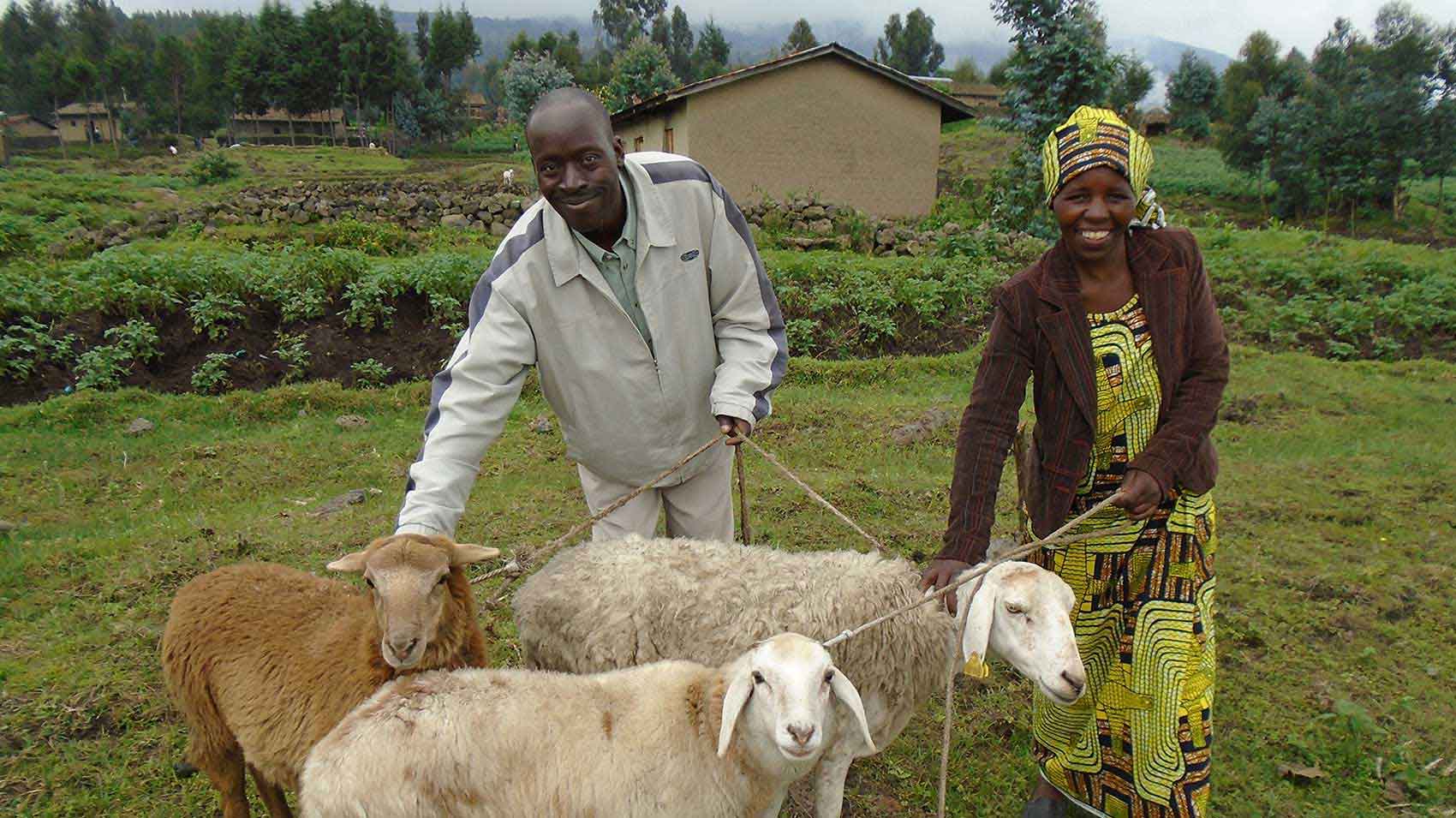 Pire Otu tarım kooperatifi programının destek olduğu kırsal çiftçiler