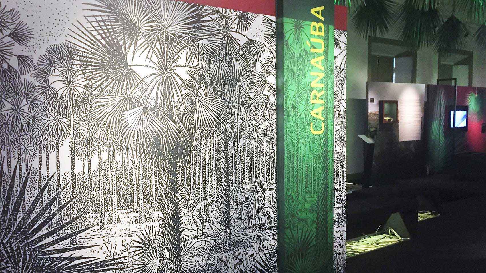 The “Carnaúba: Tree of Life” exhibit in Fortaleza, Brazil