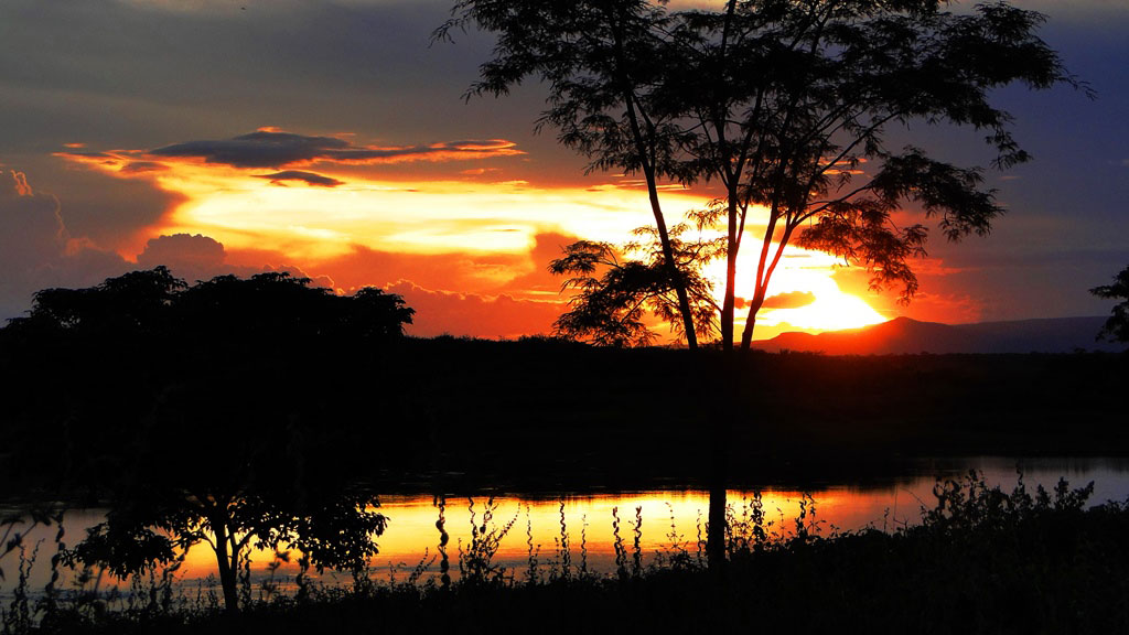 Die Caatinga-Region in Brasilien 