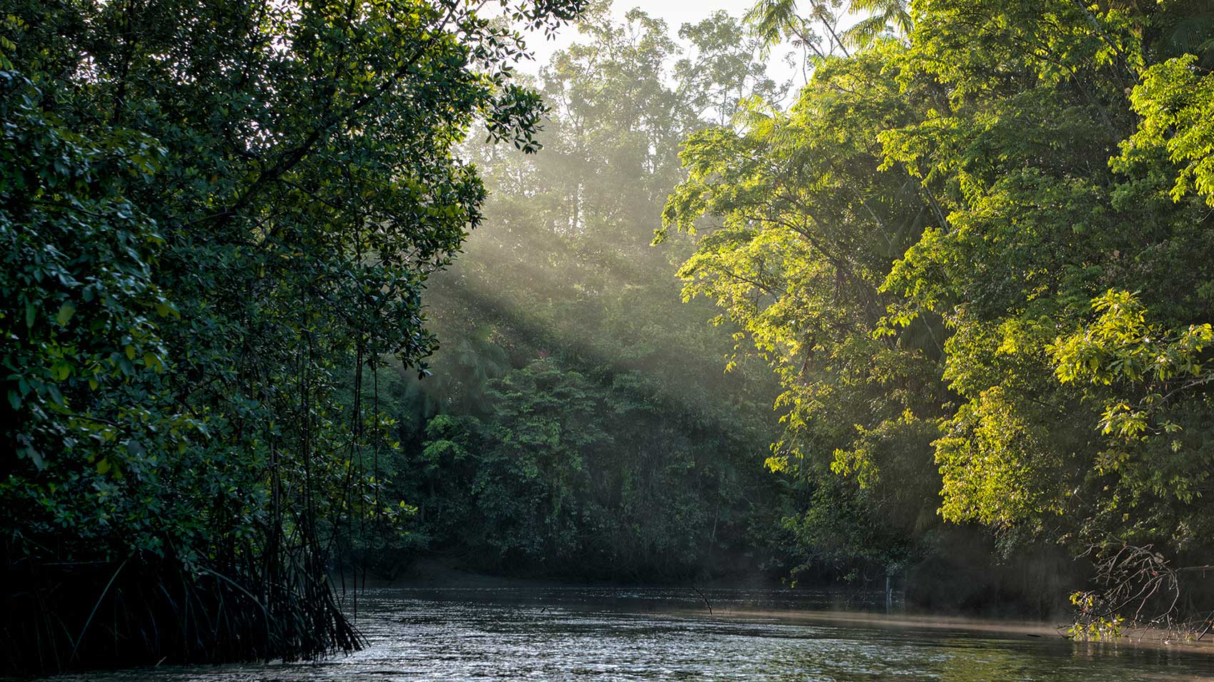 Erhaltungspartner SC Johnson und Conservation International arbeiten daran, die Abholzung im Amazonas-Gebiet zu stoppen