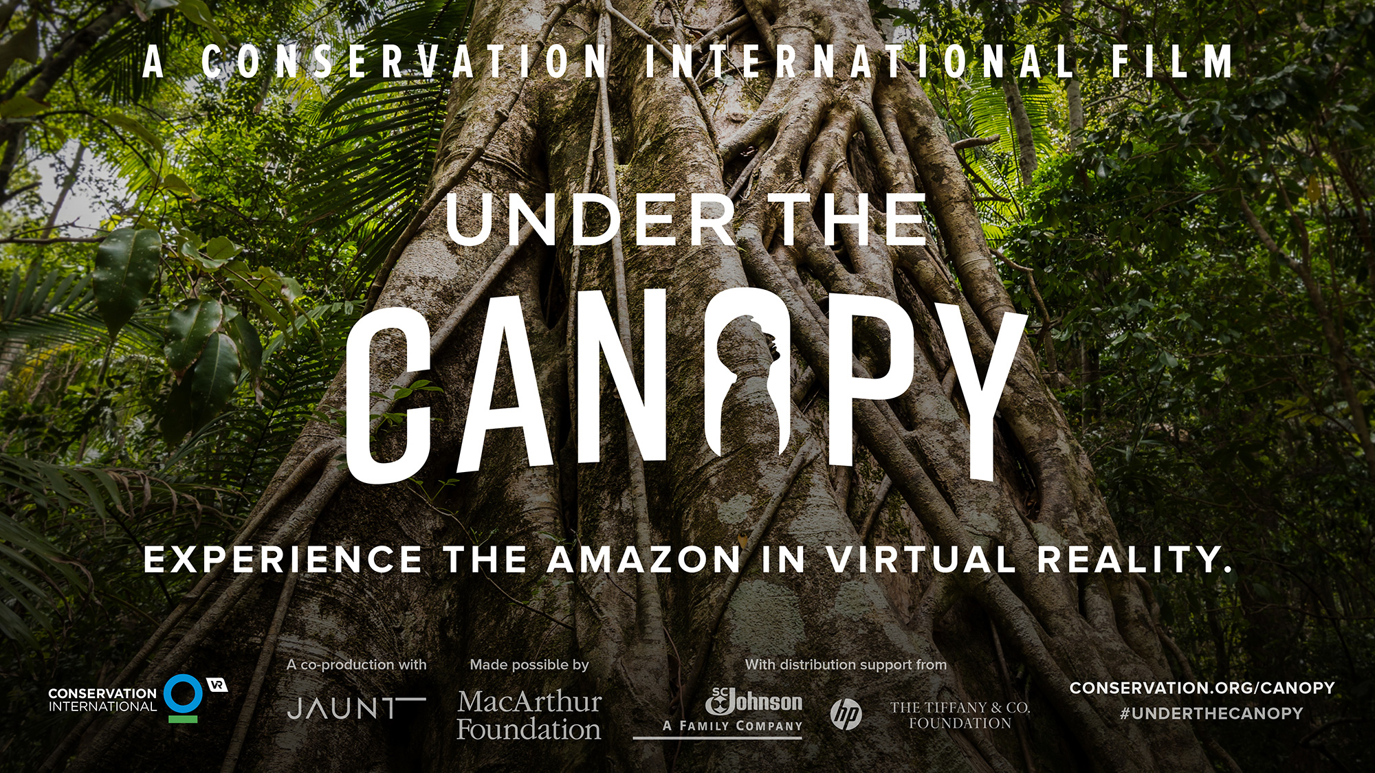 Under the Canopy, a Conservation International VR video