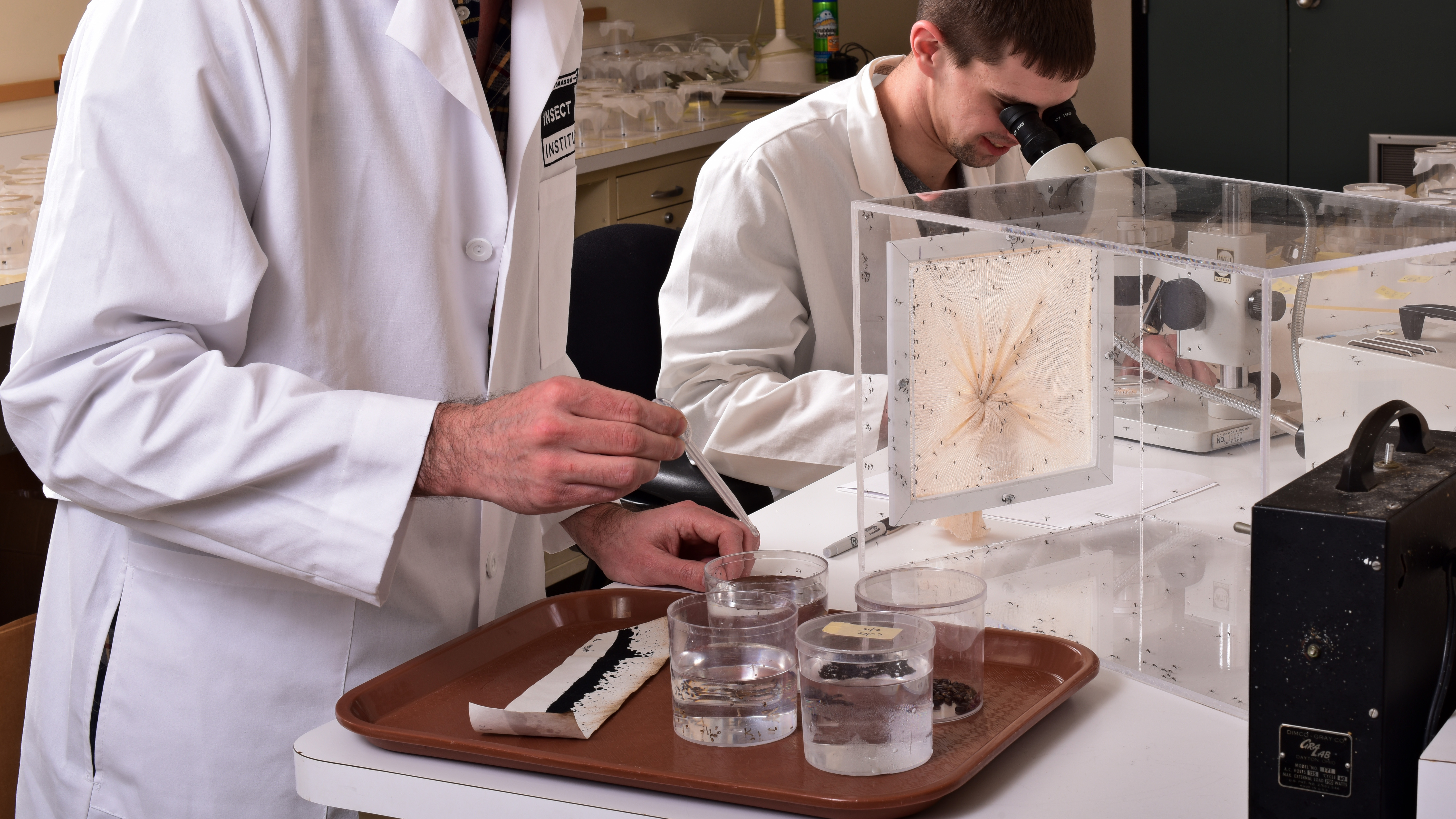 Mosquito testing at the SC Johnson Entomology Center.