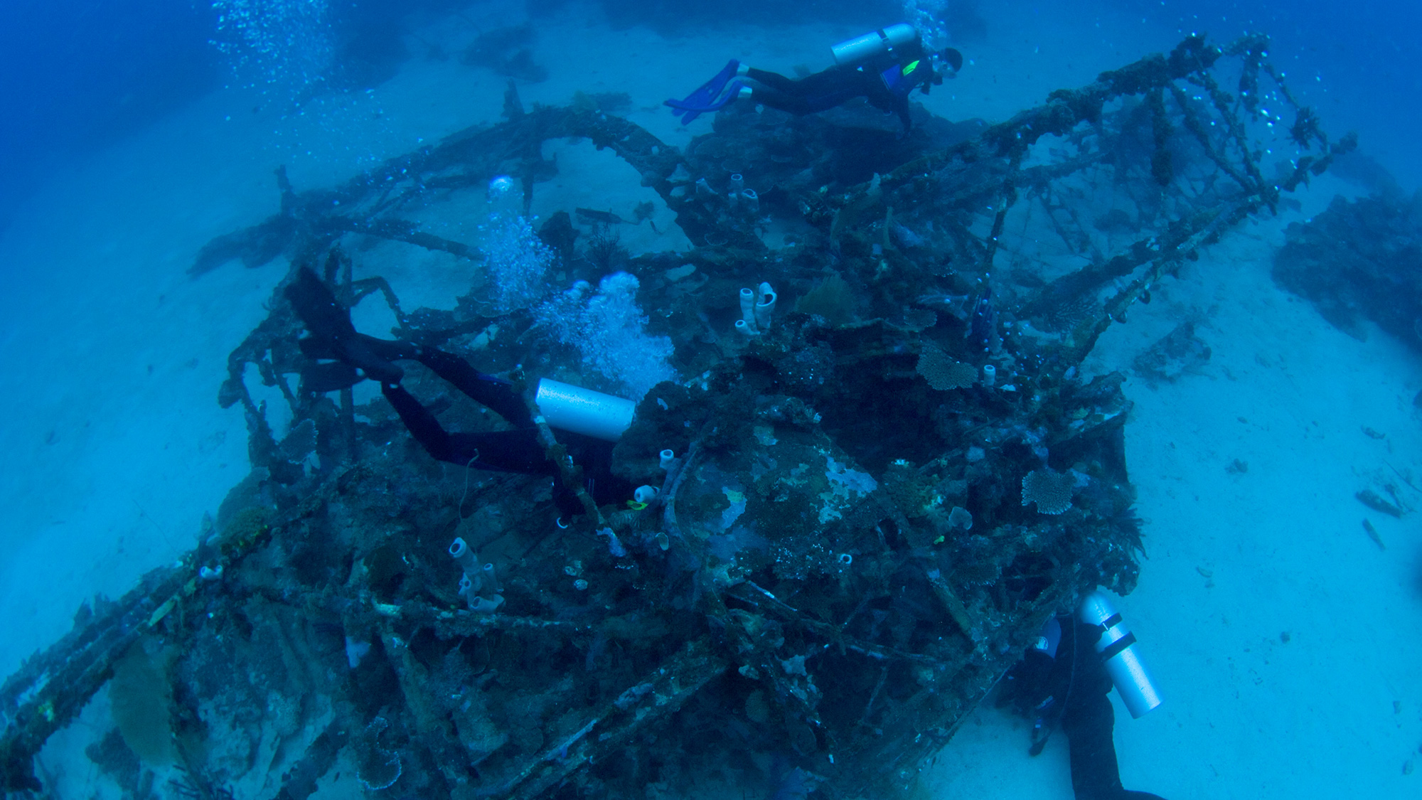 Scuba divers surveying the Johnson family’s sunken Carnauba airplane.