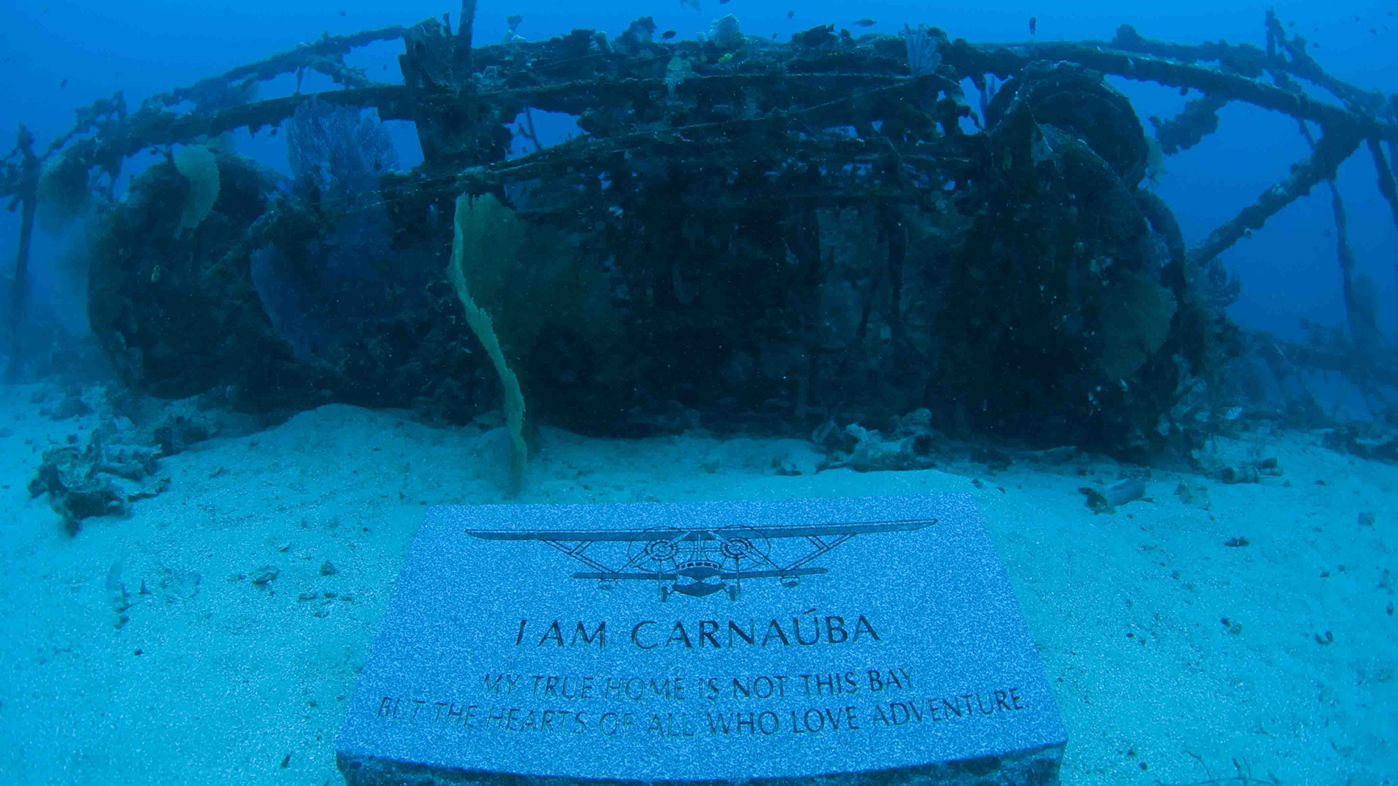 Placa colocada na frente do Sikorsky S-38 submerso da família Johnson