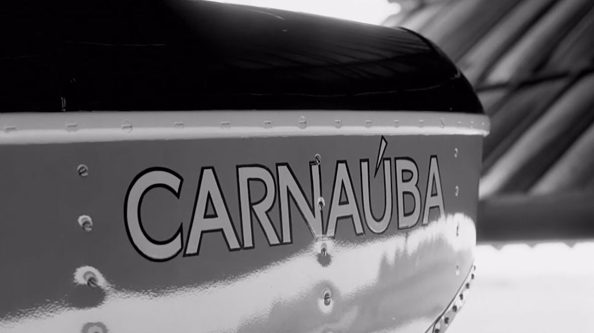 A scene from Sam Johnson's film Carnauba: A Son's Memoir