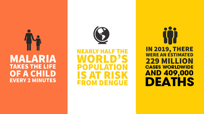 Infografía de las enfermedades transmitidas por mosquitos